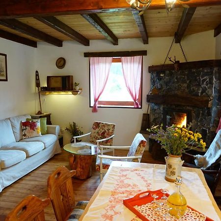 plitvice cottage iggy Plitvička Jezera Exteriör bild